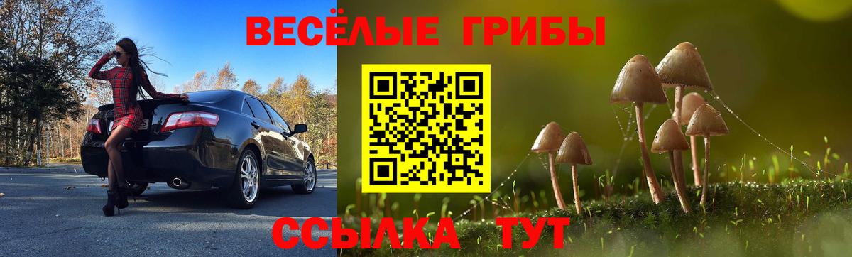 Галлюциногенные грибы мицелий Сургут